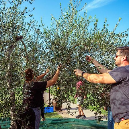 Agriturismo Biologico Diacceroni Villamagna Kültér fotó