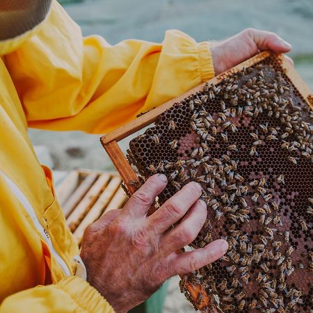 Agriturismo Biologico Diacceroni Villamagna Kültér fotó