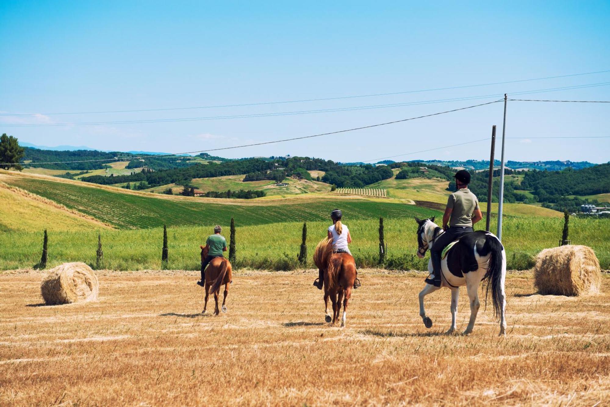 Agriturismo Biologico Diacceroni Villamagna Kültér fotó
