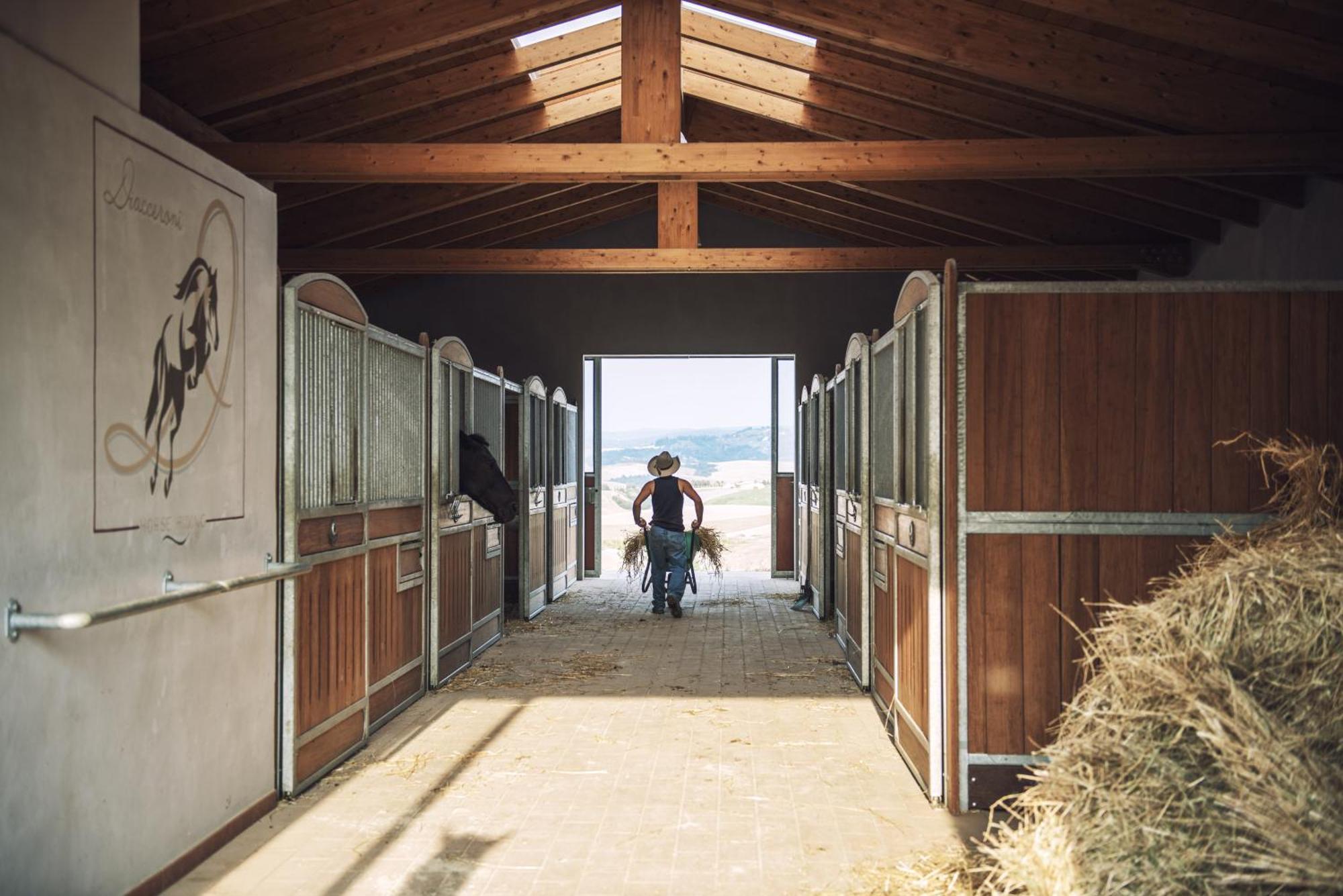 Agriturismo Biologico Diacceroni Villamagna Kültér fotó