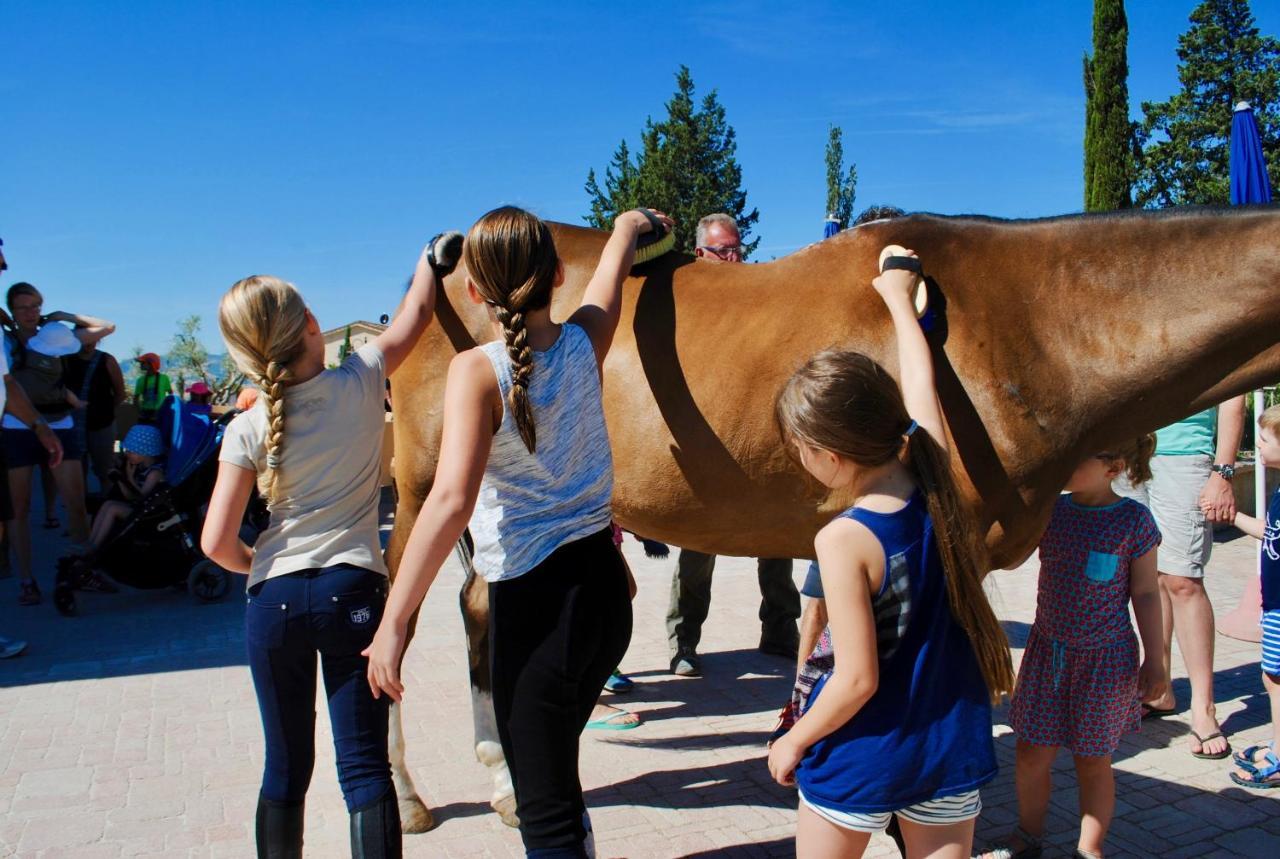 Agriturismo Biologico Diacceroni Villamagna Kültér fotó